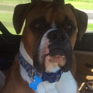 Meet your Posher, Mason